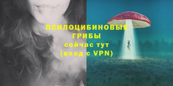mdma Новодвинск