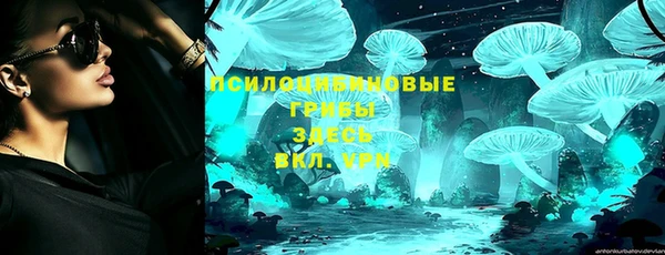 mdma Новодвинск