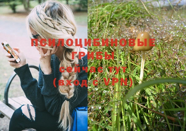 дурь Новозыбков
