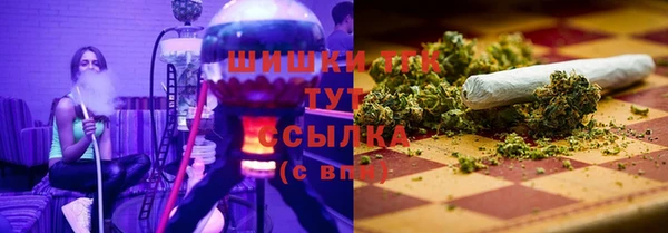 тгк Болотное