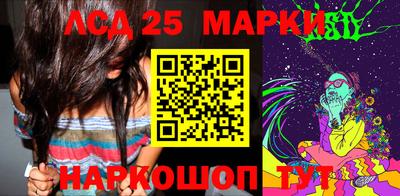 шишки Аргун