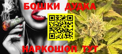 сатива Гатчина