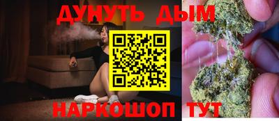 сатива Гатчина