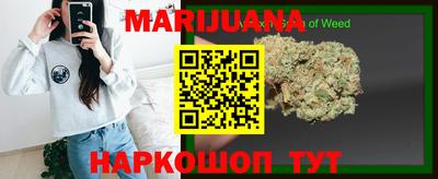 шишки Аргун