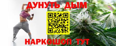 сатива Гатчина