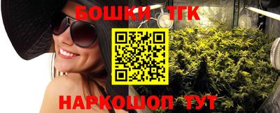 шишки Аргун