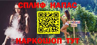 шишки Аргун