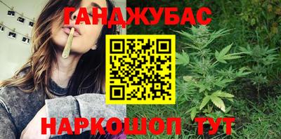 шишки Аргун