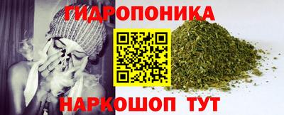 сатива Гатчина