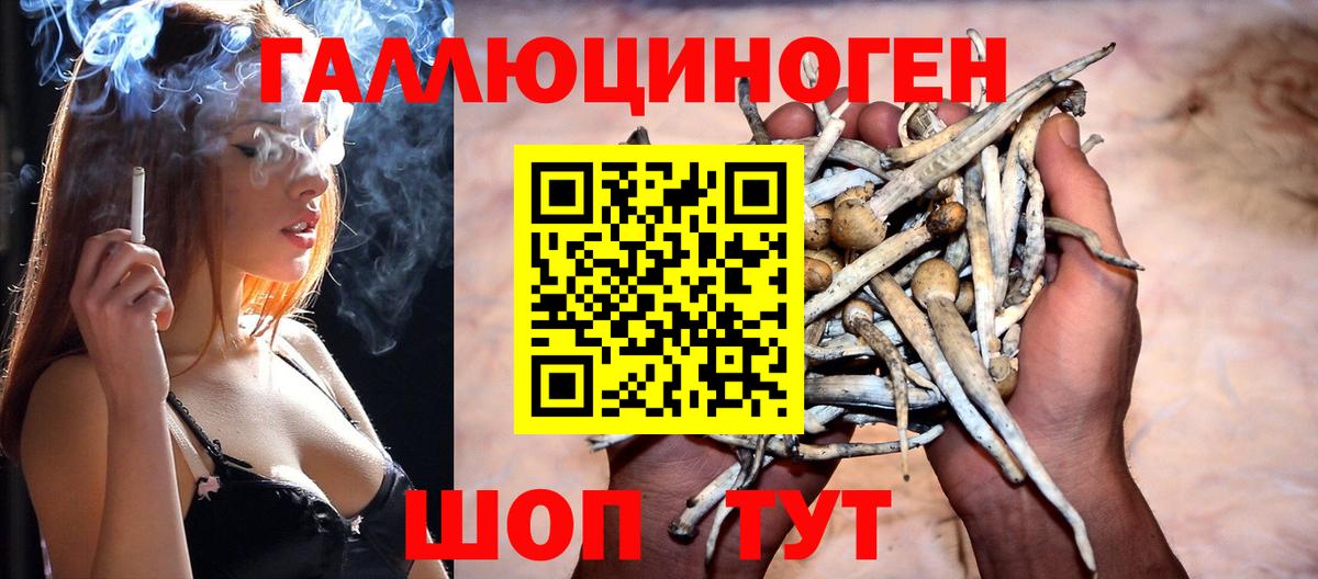 Псилоцибиновые грибы ЛСД Симферополь