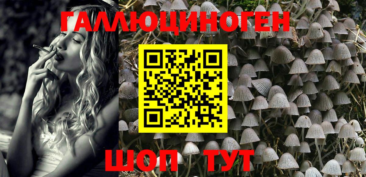 Псилоцибиновые грибы Cubensis Симферополь